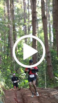 BIB:  <button type="button" onclick="openModal(26569754)" class="btn btn-primary btn-sm float-right" data-toggle="modal" data-target=".modal-high-quality">
                <i class="fa fa-download"></i> Download
                </button>